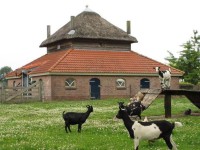 /album/bedrijfsruimte-lemelerveld1/bedrijfsruimte-lemelerveld-tenf-jpg/